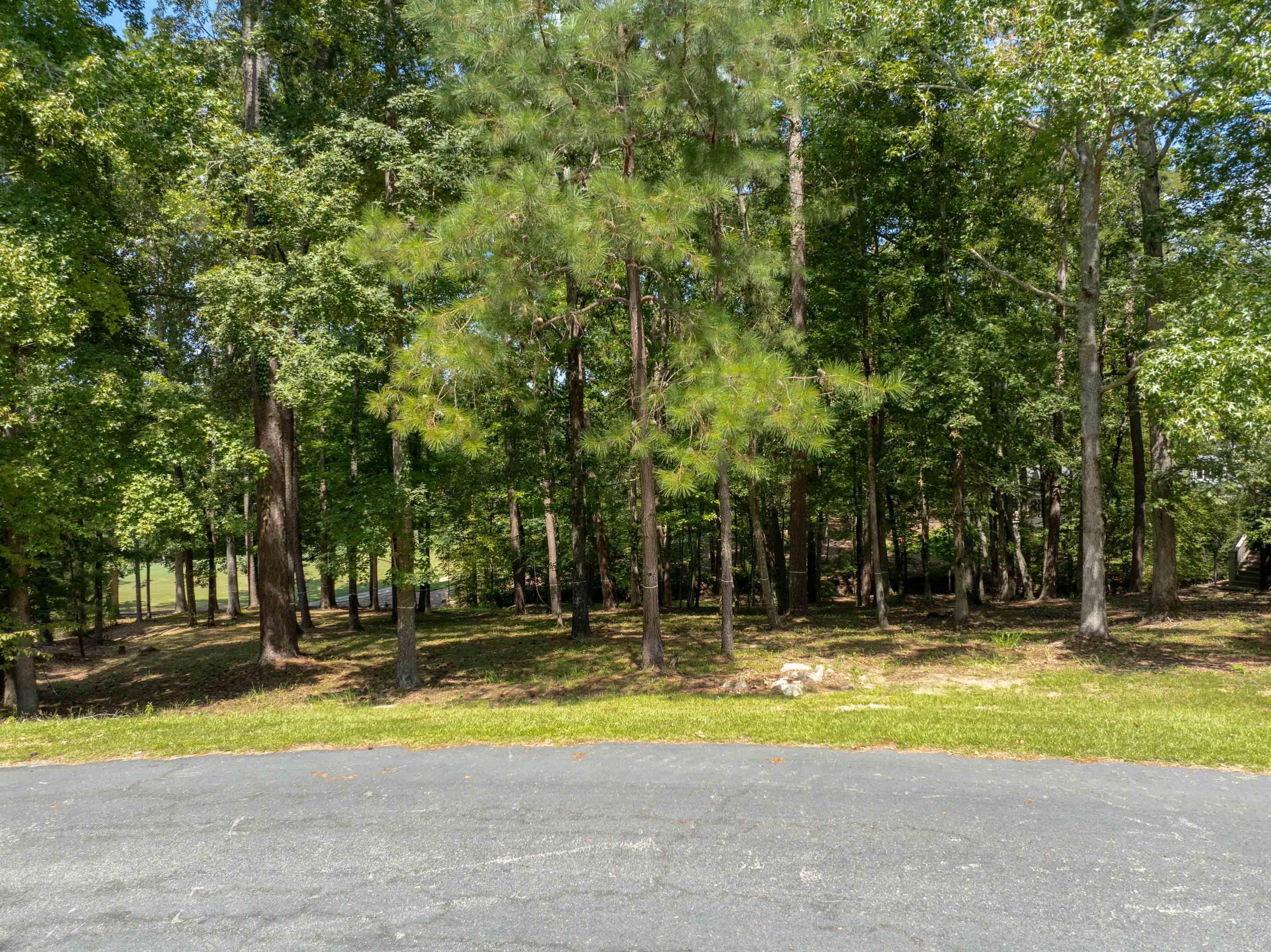 1021 Branson Bluff image 2
